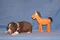 carousel chooser