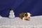 carousel chooser
