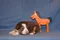 carousel chooser